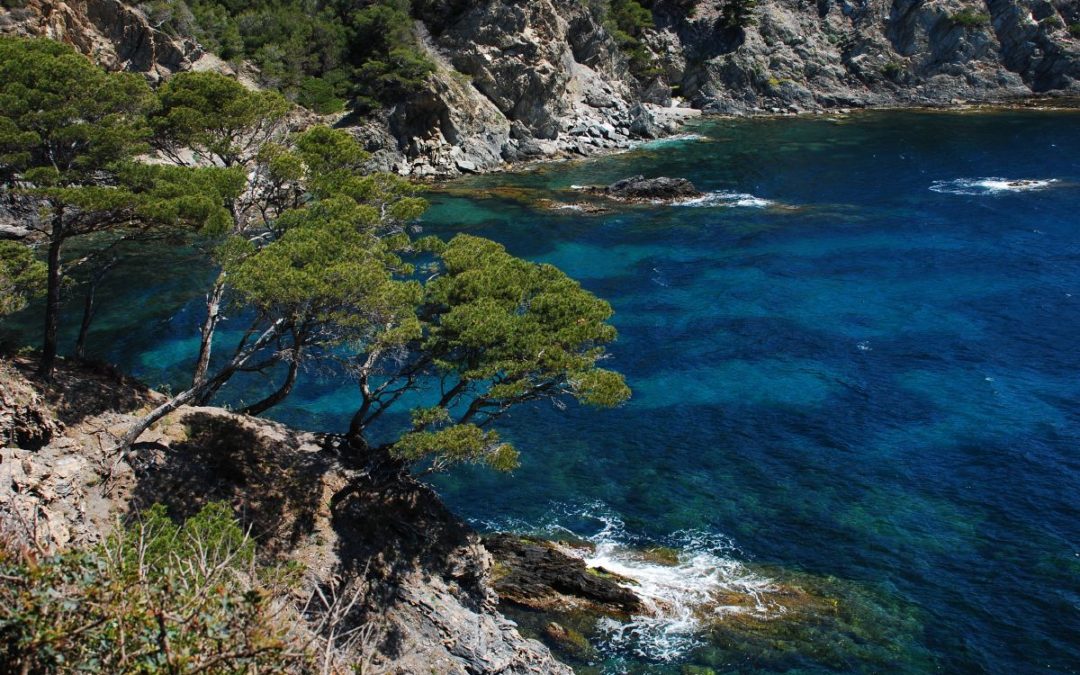 Oiko Logica in the Mediterranean with UNEP