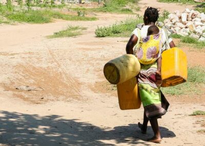 Improving dairy value chain and gender inequalities in Northern Cameroon
