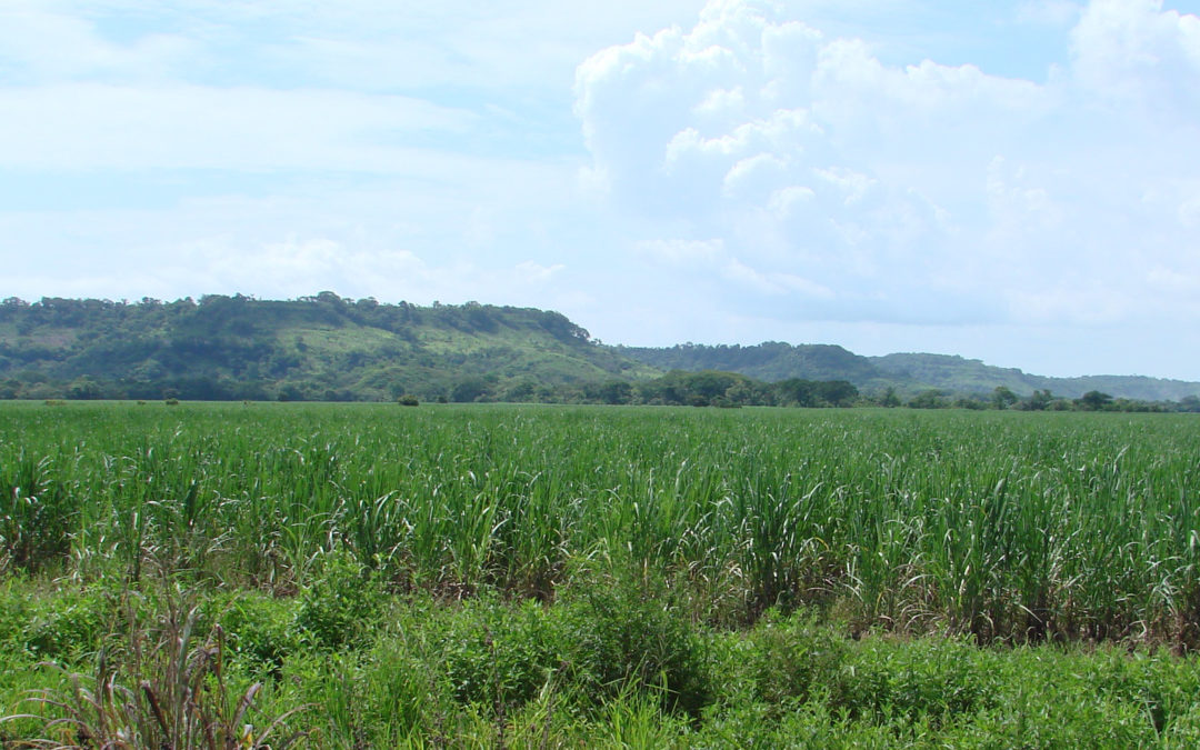 Software for Climate Change and Land Use Planning in Costa Rica